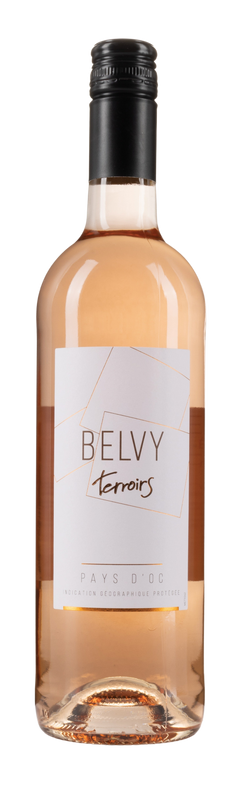 Belvy  2025