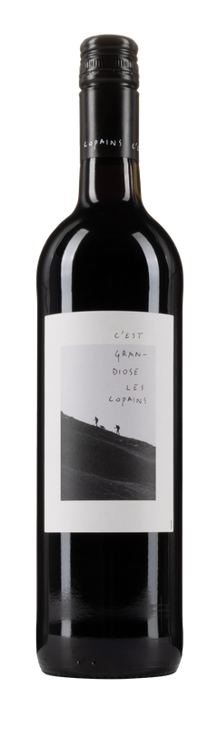 Grandiose Les Copains Merlot 2022 75cl