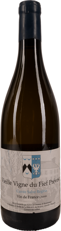 Château Trotte Vieille - 2022 75cl