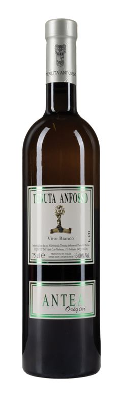 Tenuta Anfosso Antea Vino Bianco 2021 75cl