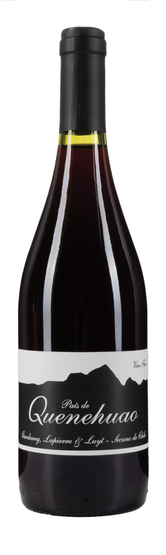 Louis-Antoine Luyt Pais de Queunehuao 2019 75cl
