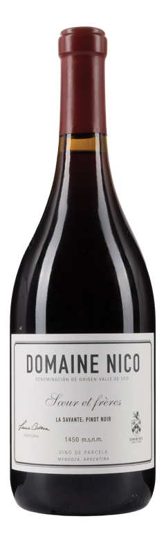 Domaine Nico La Savante 2022