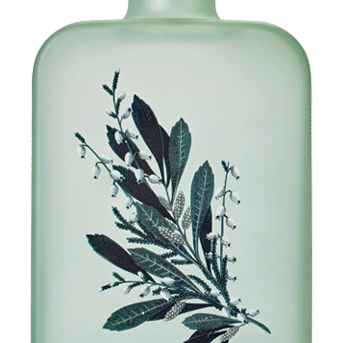 Botanical Spirit 40% 50cl – Crombé Wines