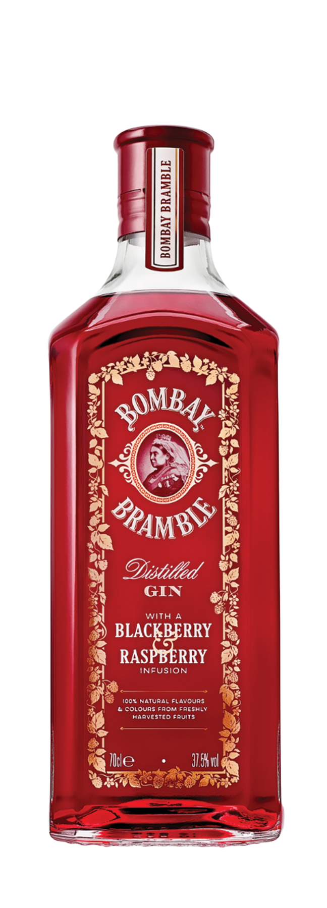 Bramble Gin 37,5% 70cl