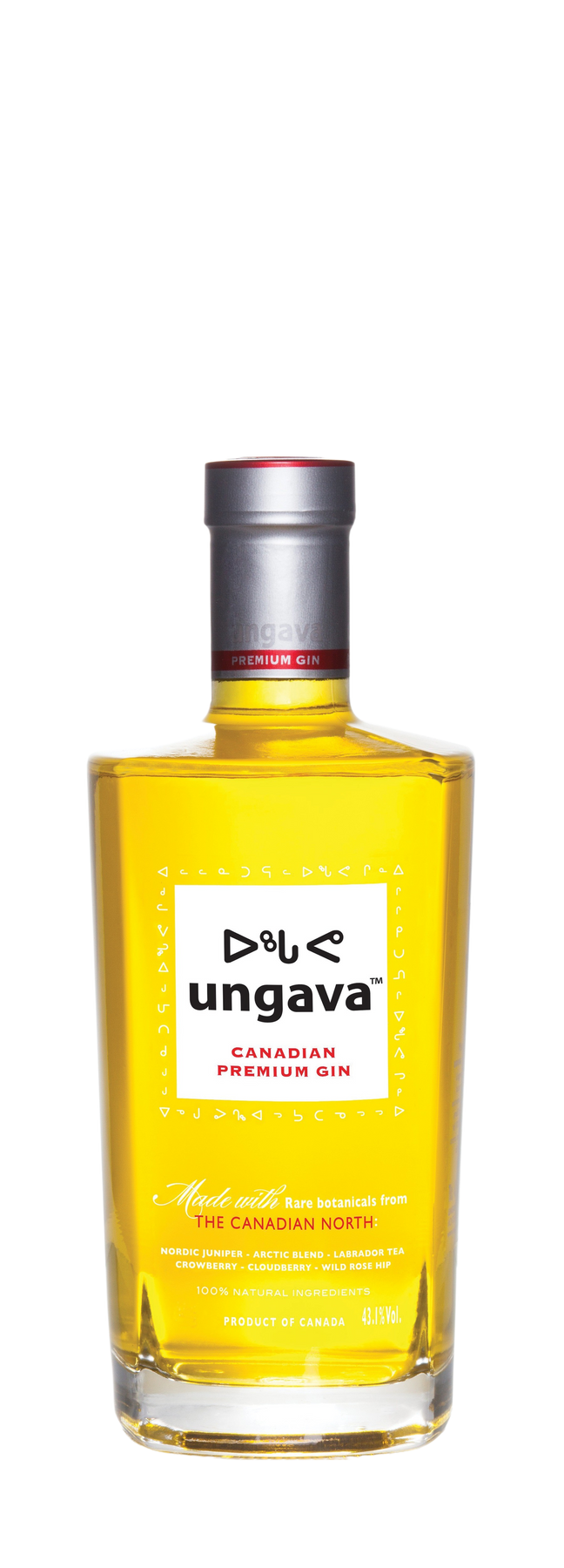 Gin Premium 43,1% 70cl